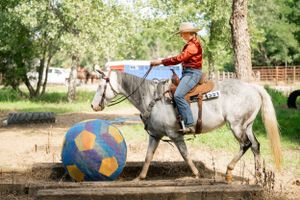 A horse and rider navigate around a large blue ball obstacle in an arena.