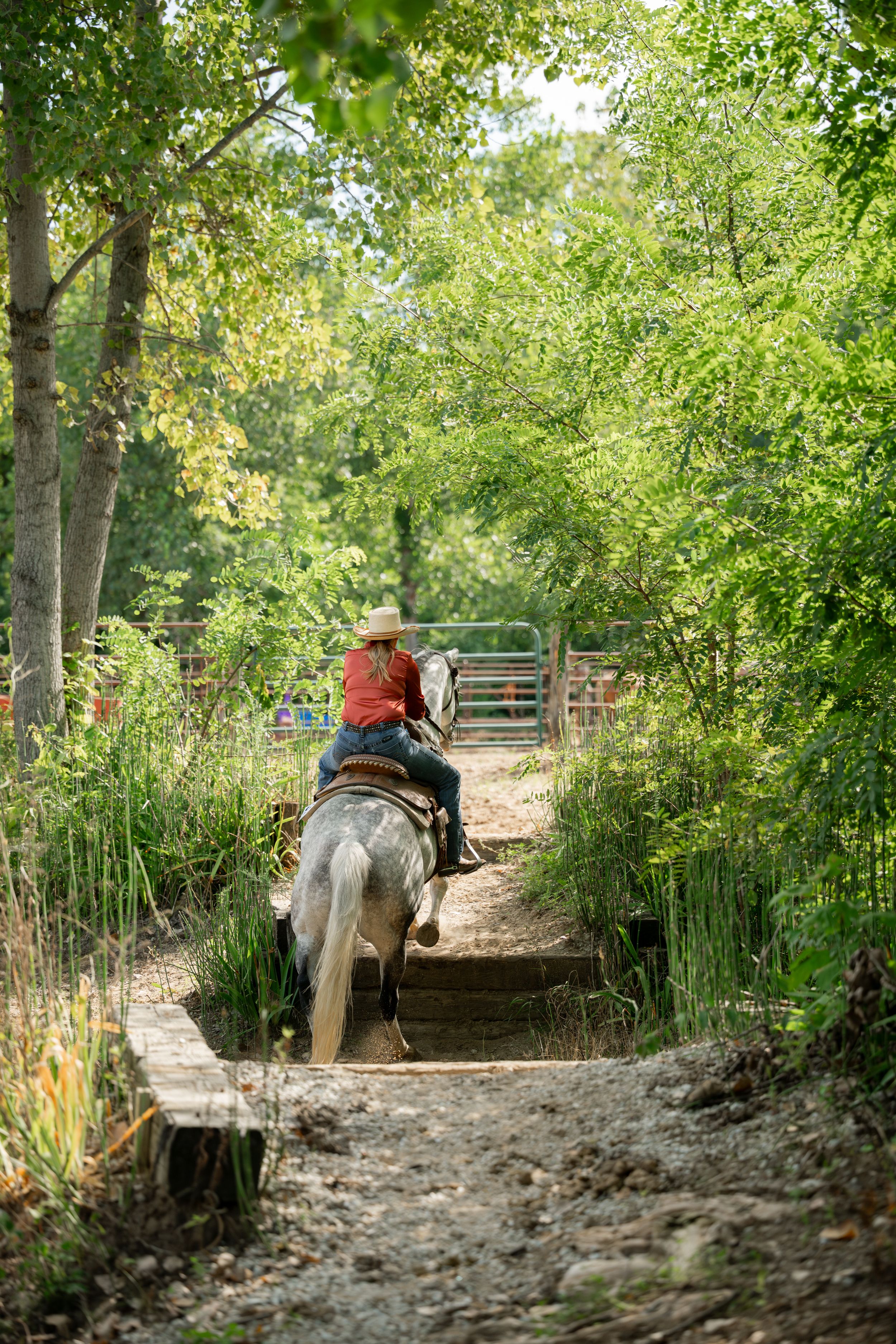 A mounted horse walking along a shaded trail between tall grass and trees.