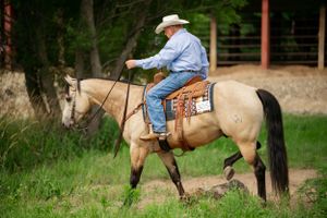 Rider on pale colored horse walking through green pasture with rustic fencing.