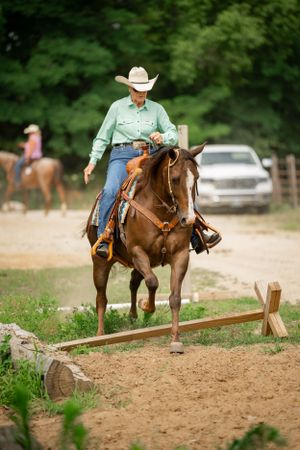 Horse and rider jumping over wooden obstacle on dirt training course.