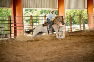 White horse and rider practicing barrel racing maneuvers in indoor arena.