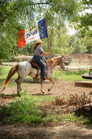 A rider carrying flags gallops across a dirt path on a dappled horse near willow trees.