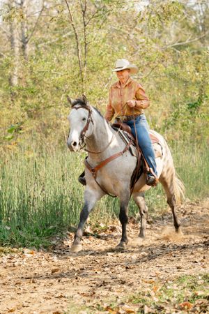 A rider guides a white horse along a dirt trail through autumn woods.