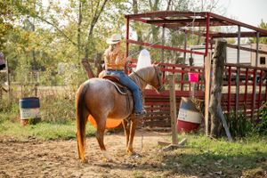A rider on horseback approaches a red metal gate structure in a rustic setting.