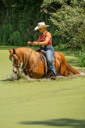Horse and rider splashing through green algae-covered water during western riding practice.