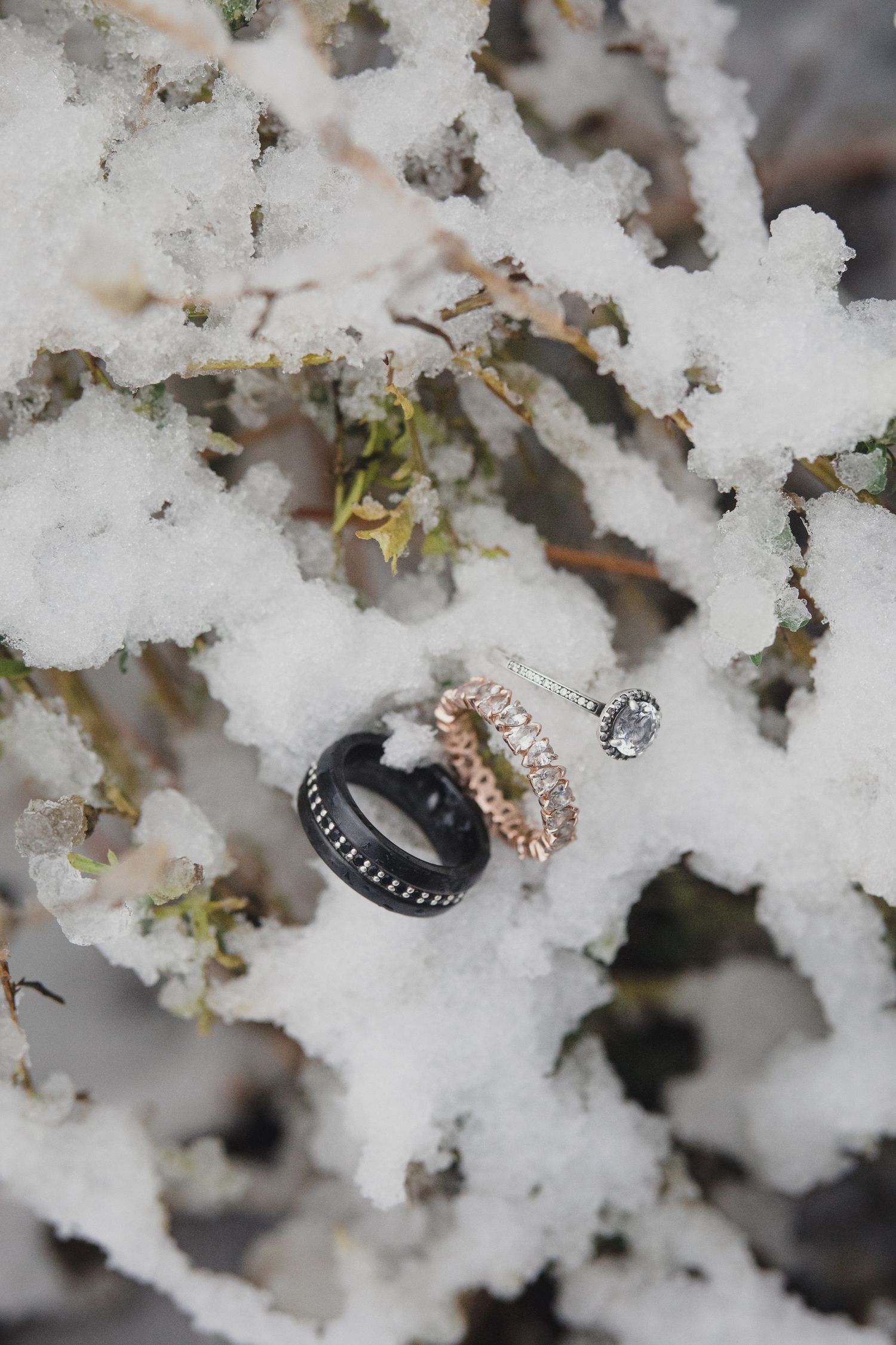 Wedding rings nestled in snow-covered branches with delicate ice crystals.