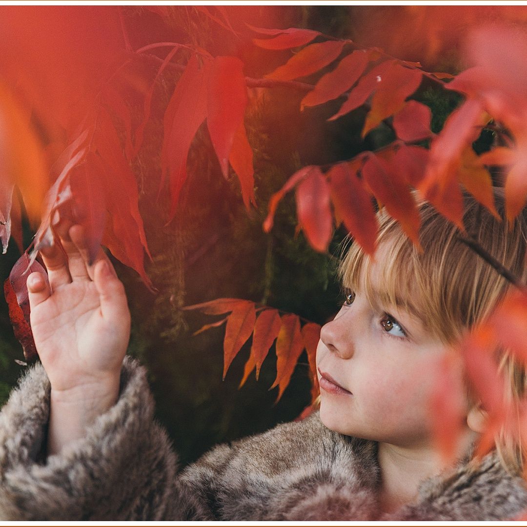 Child gazes up at vibrant red autumn maple leaves in cozy winter coat.