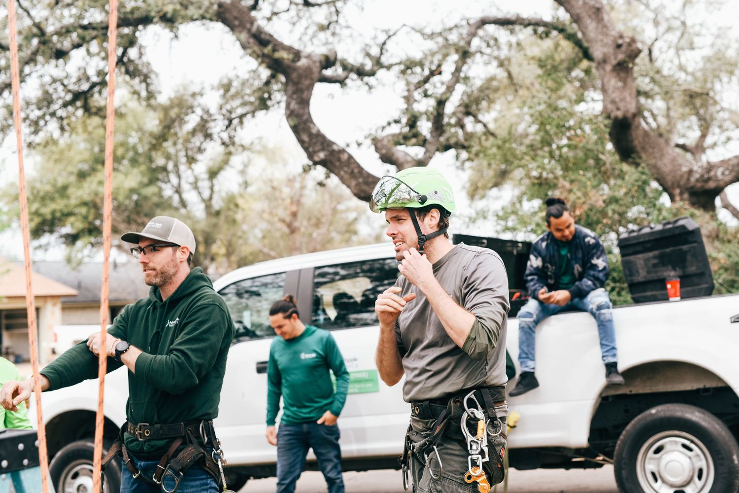 Professional arborists discussing tree maintenance strategy in residential area.
