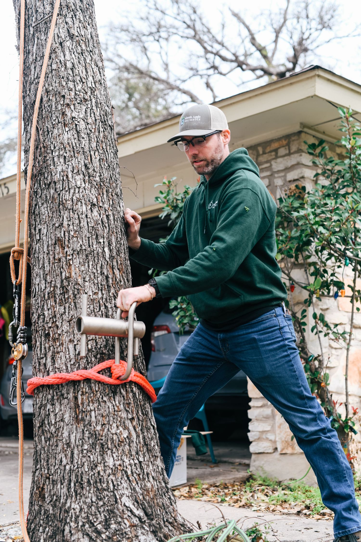 Arborist using specialized cutting tool to remove branch from large tree trunk.