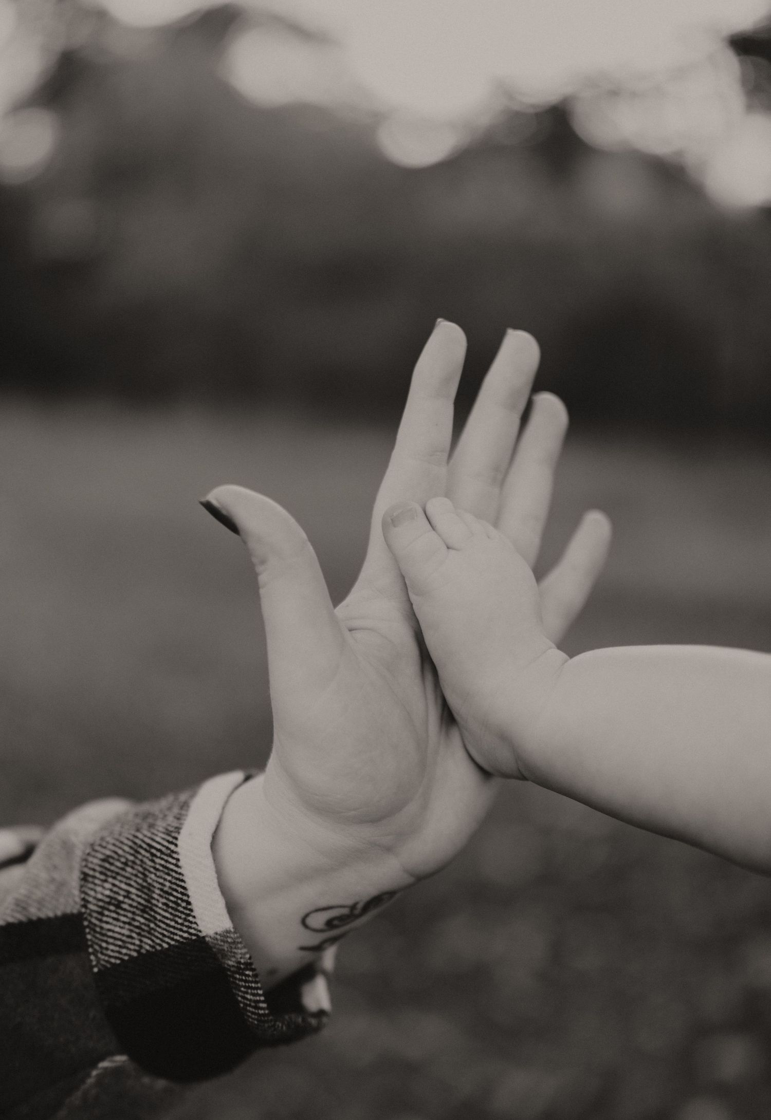 Black and white artistic photo of reaching hands against a blurred background.