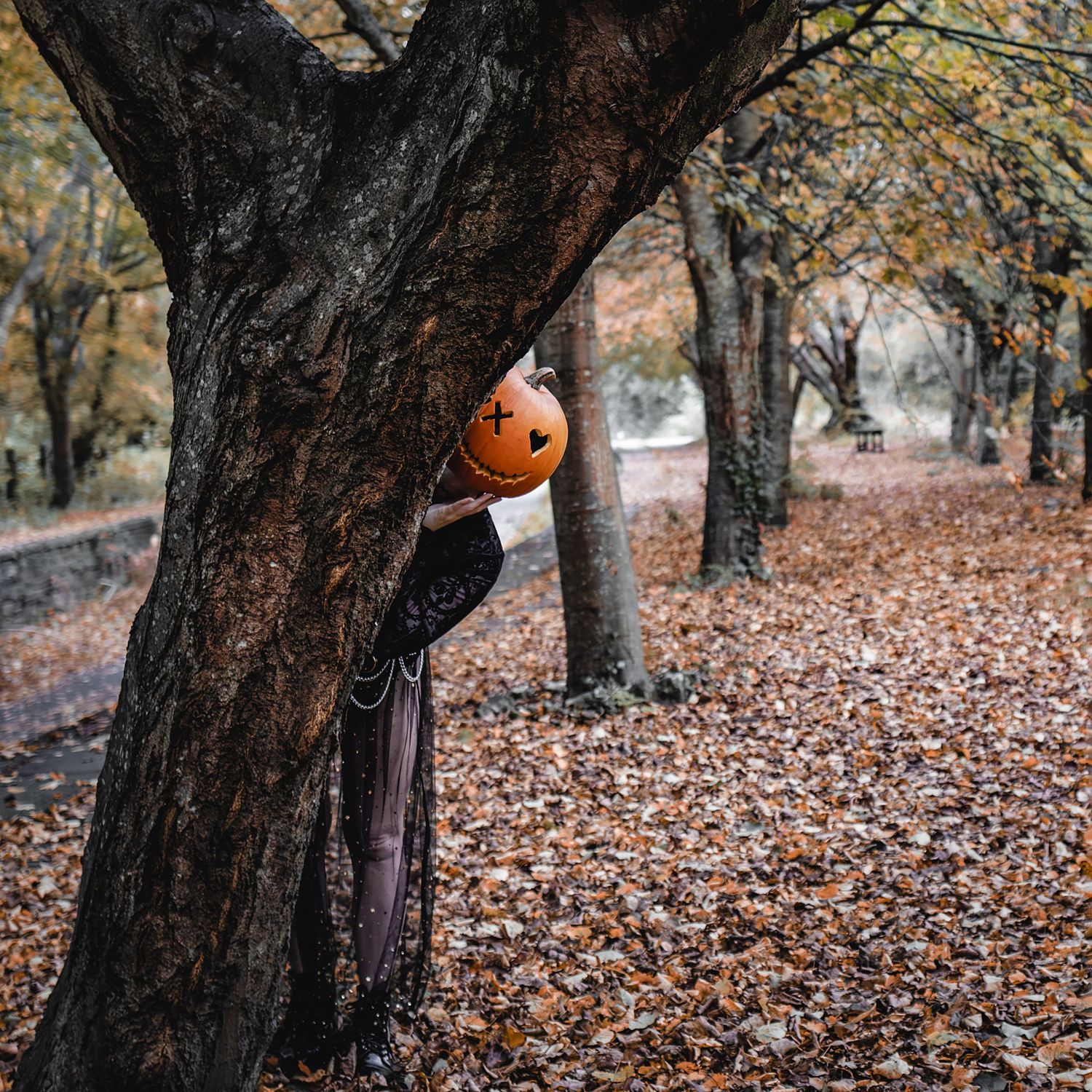Mysterious pumpkin-headed figure in black dress peeks from behind tree trunk in autumn woods.