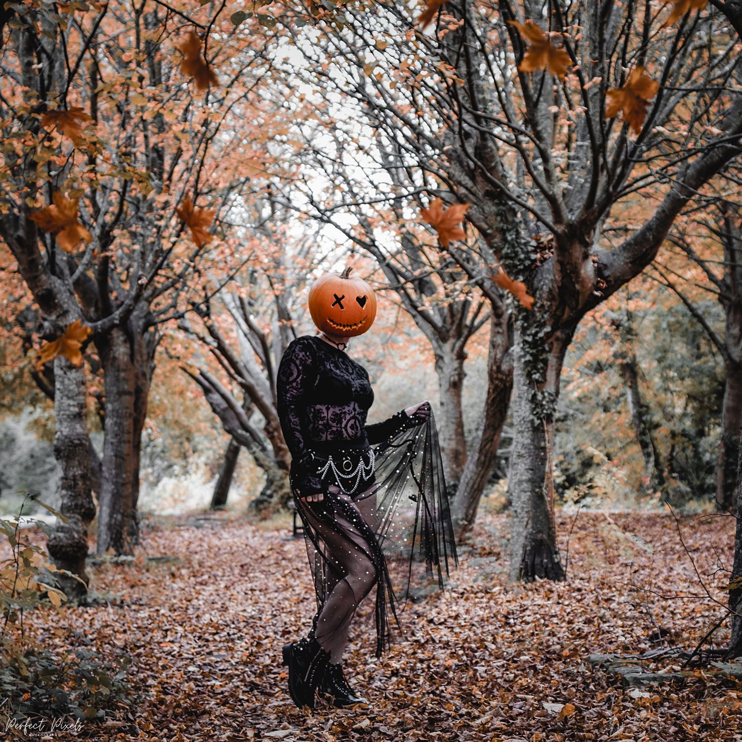 Spooky Halloween figure in black lace dress with pumpkin head poses dramatically in autumn forest.