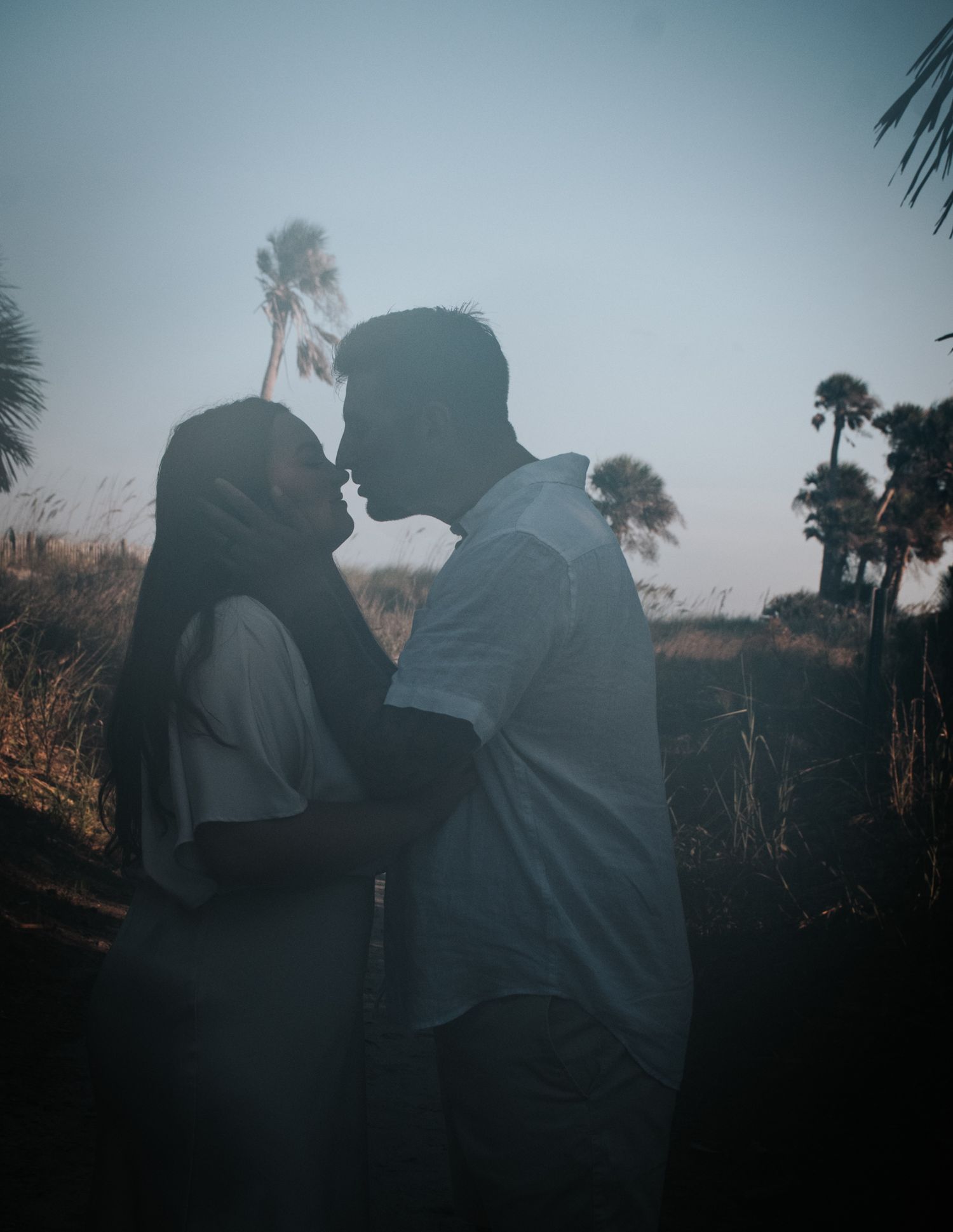 A romantic silhouette of a couple in an intimate moment against a backdrop of palm trees at dusk.