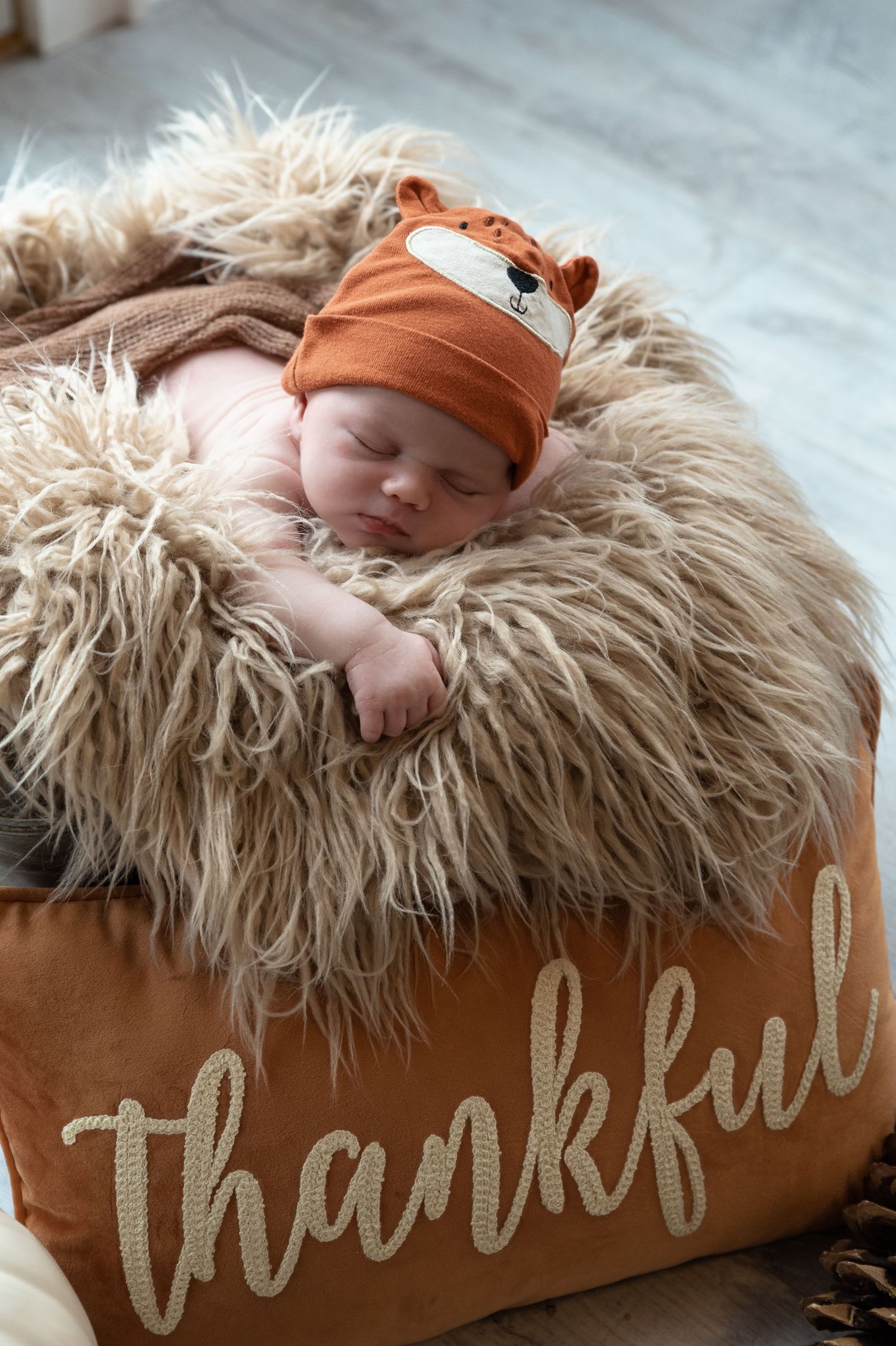 So thankful that I had the chance to get a few pictures of this little one!