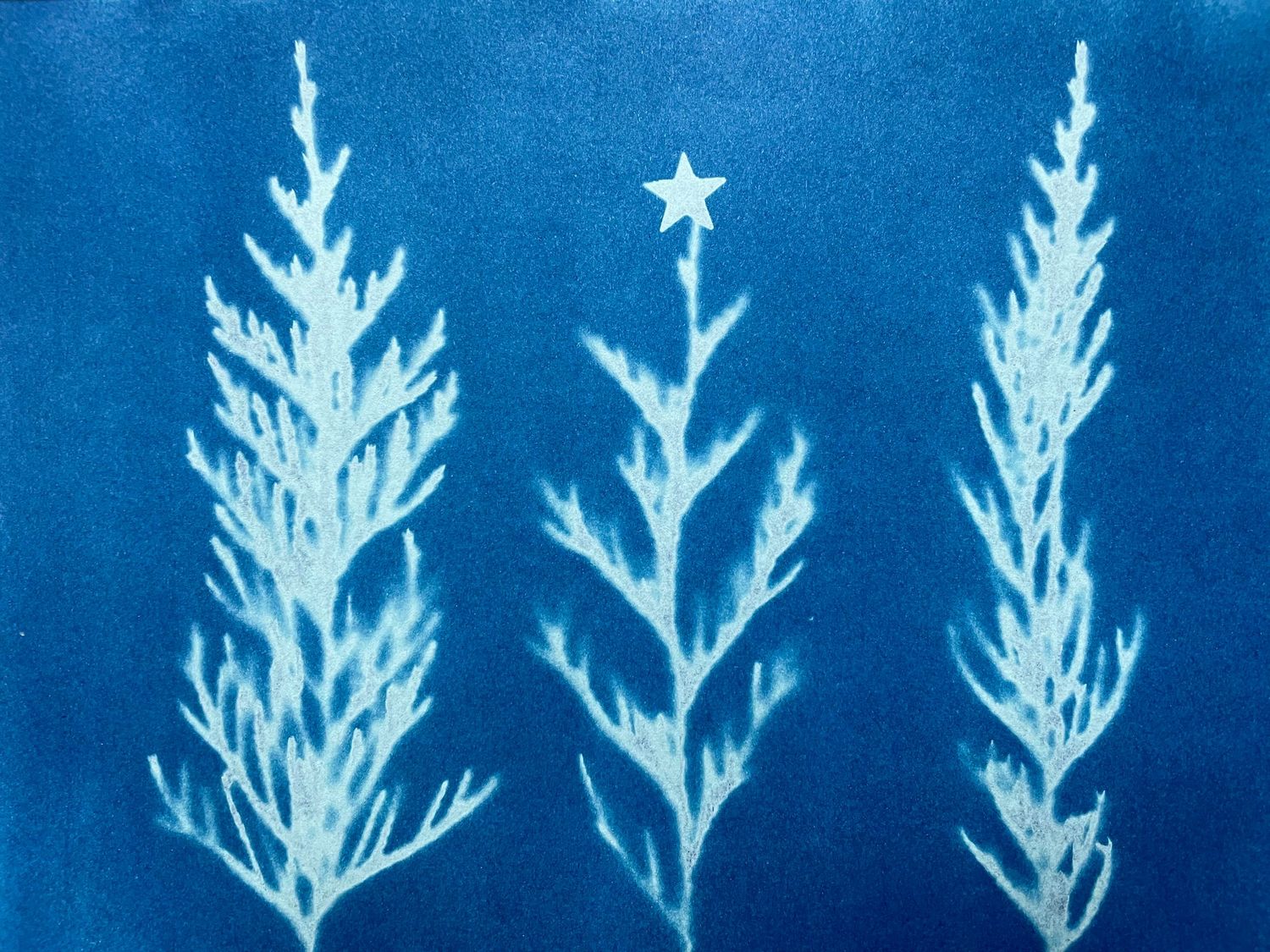 Three white tree-like shapes with stars against a deep blue background in a minimalist winter design.