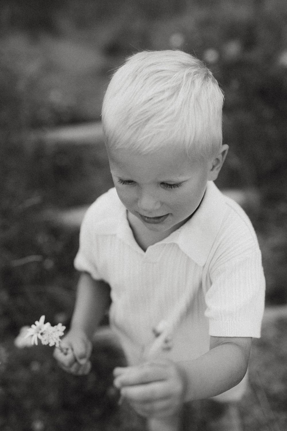 A series of black and white photos showing a child in white clothing examining small flowers in nature.