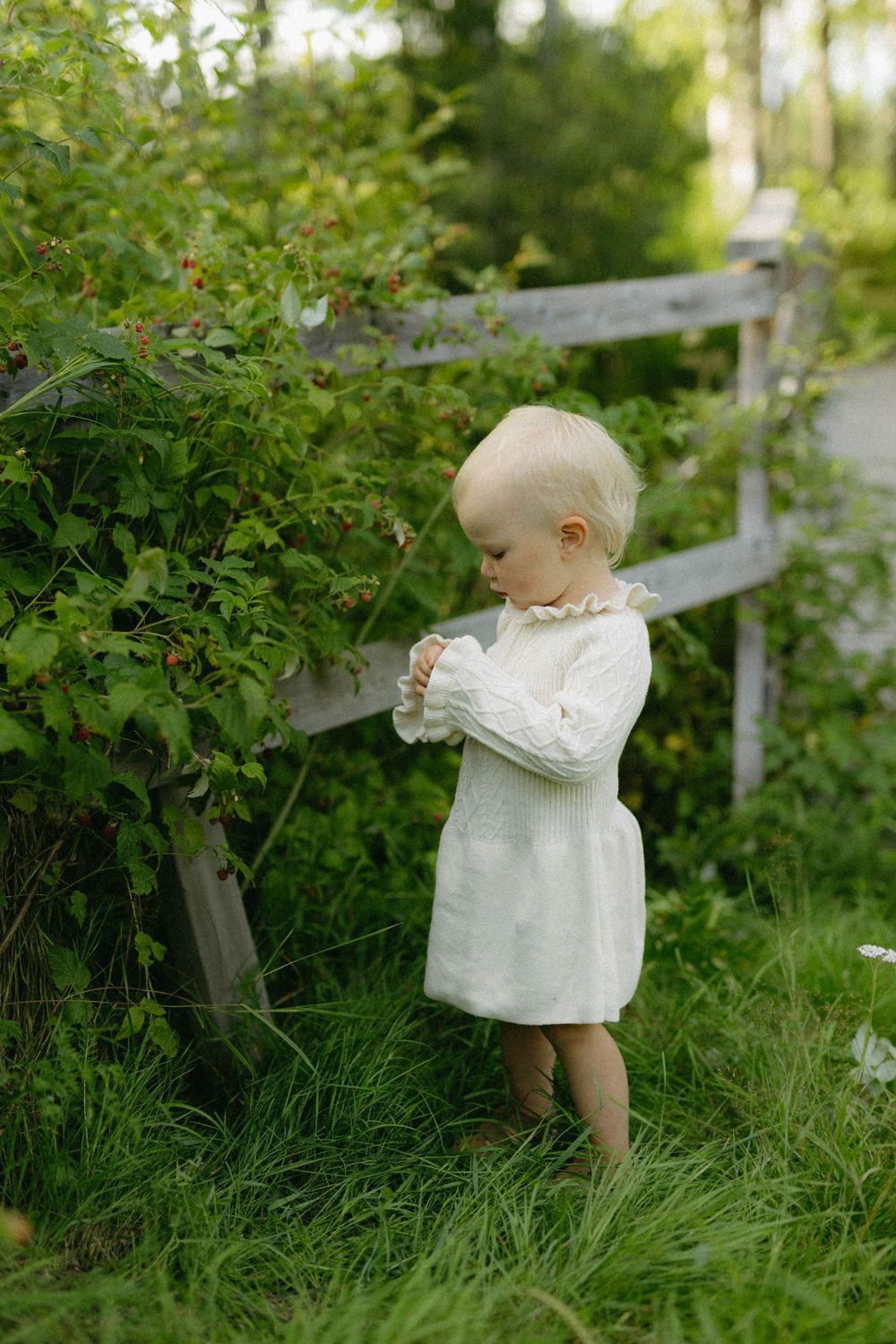 A small child in a white dress stands near a wooden fence in a lush green garden setting.
