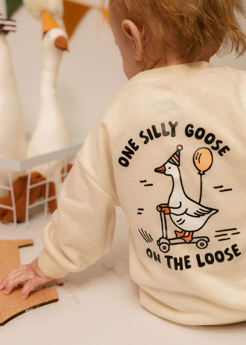 One Silly Goose