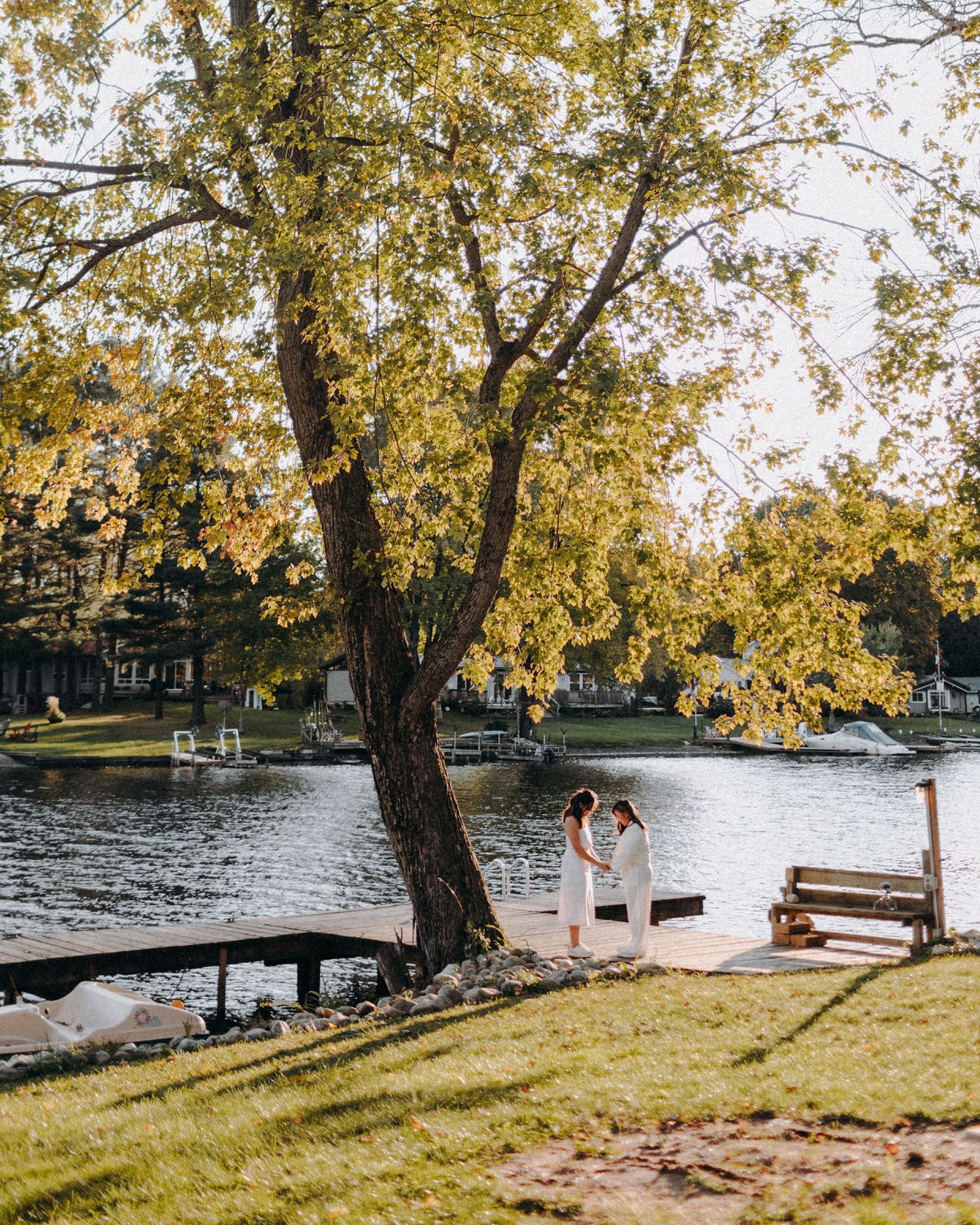 A lakeside scene with a tree displaying golden autumn foliage over a dock by the water's edge.
