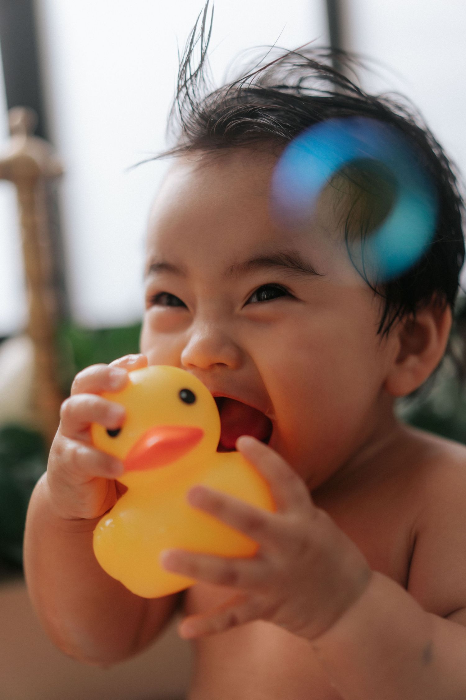A series of five photos showing a child playing with a yellow rubber duck bath toy.