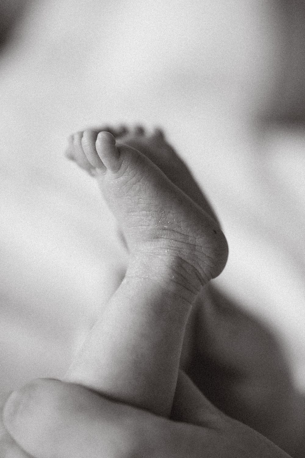 Close-up black and white photograph of tiny newborn baby feet against a soft blurred background.