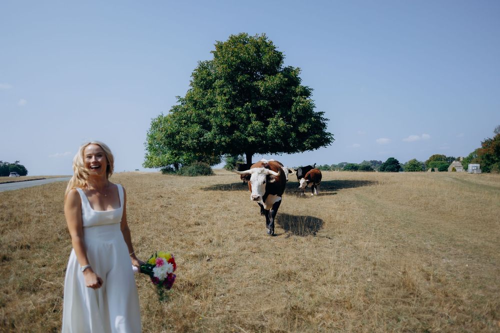 Cotswolds wedding elopement ceremony at Stroud Register Office.