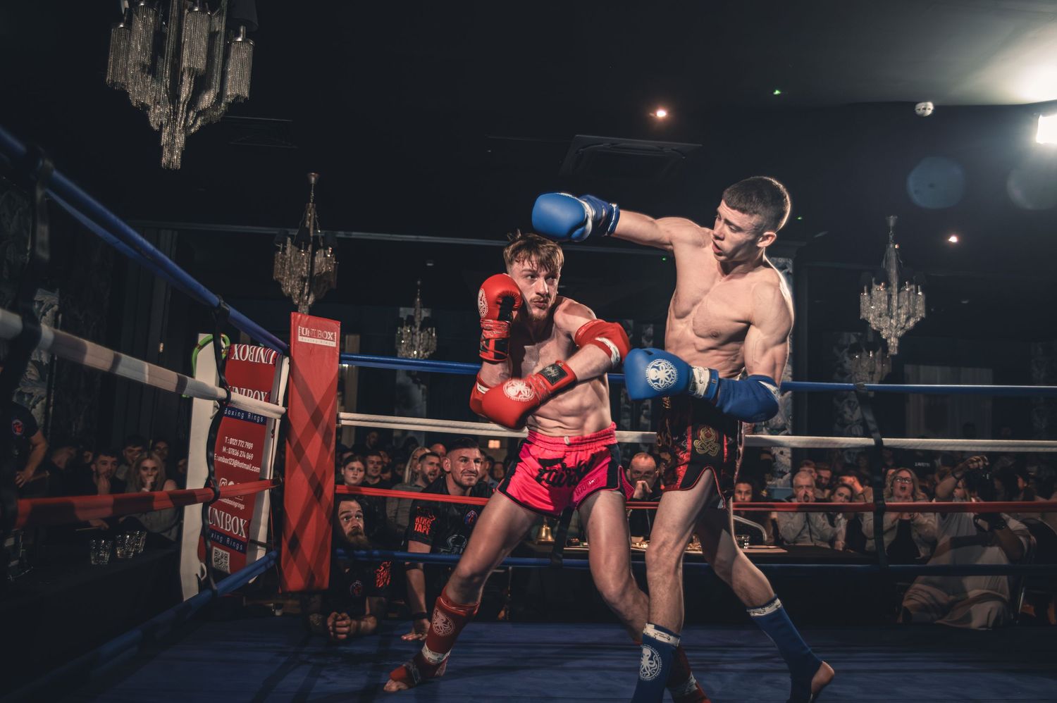 fight, boxing