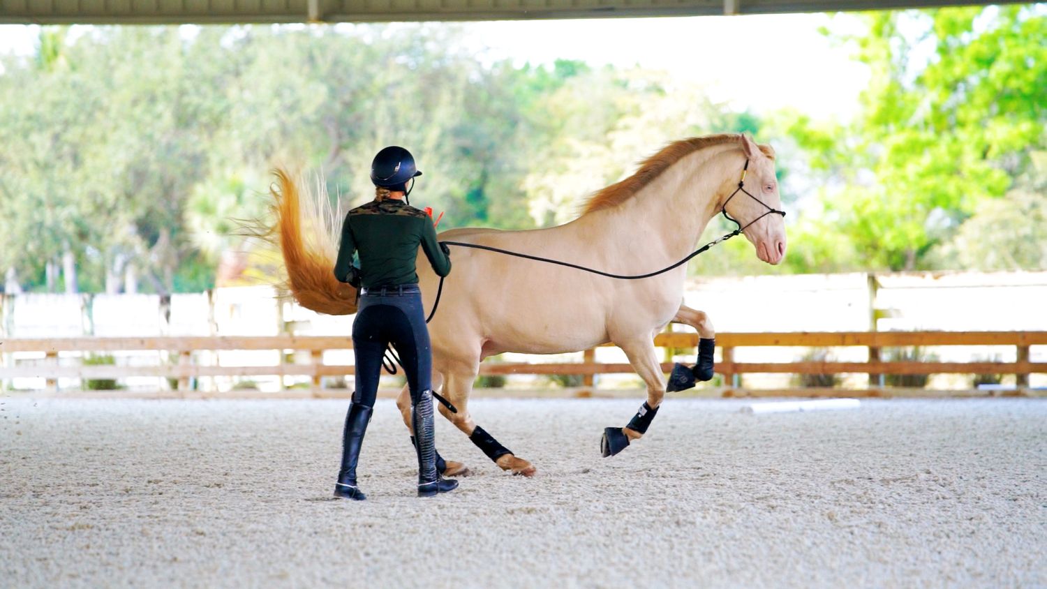A person in a black quarter-zip and baseball cap gestures while speaking inside a horse stable.