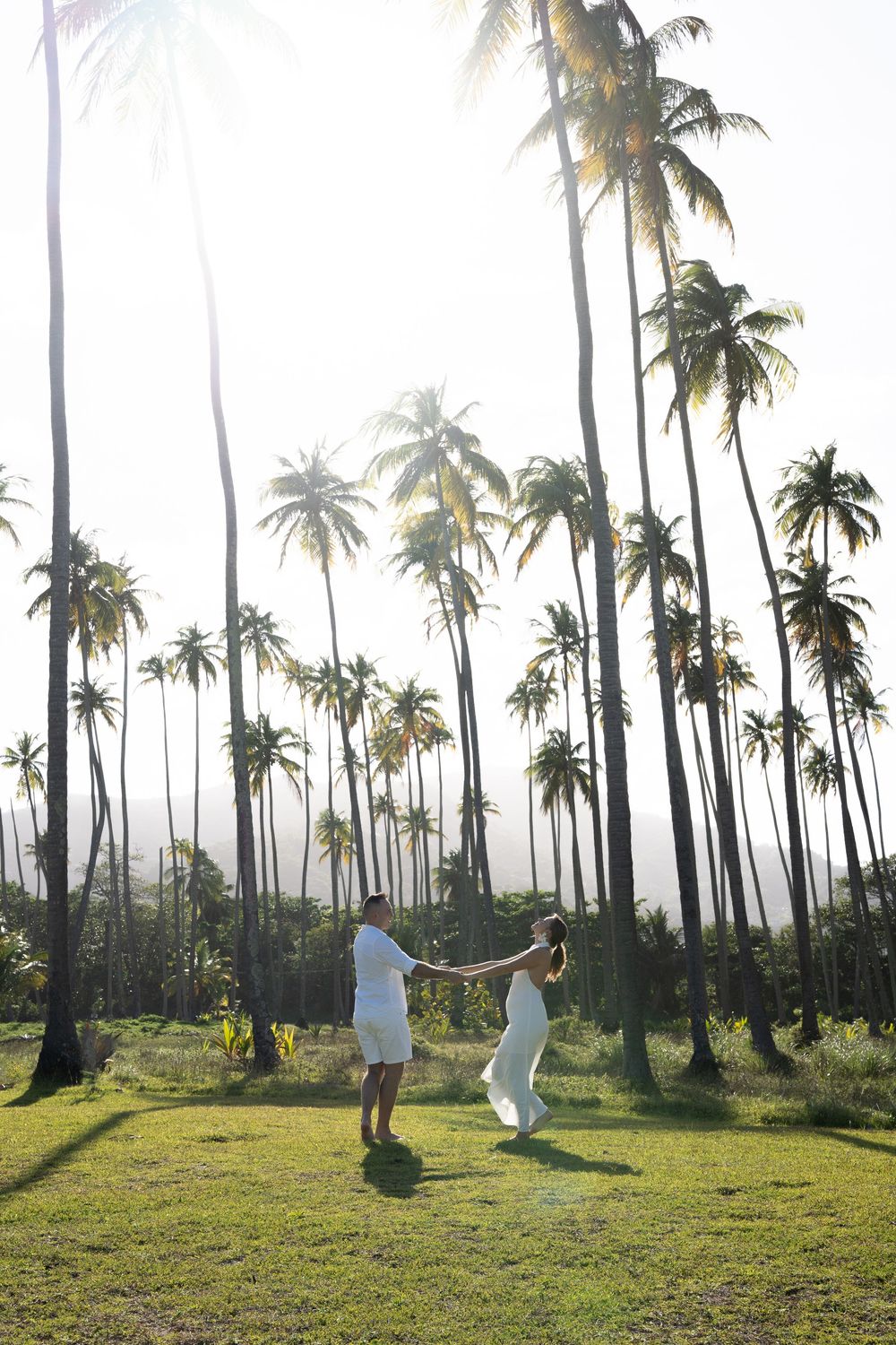 Luxury Editorial Couples Photo Session at Sunset in a Palm Tree forest in San Juan Puerto Rico