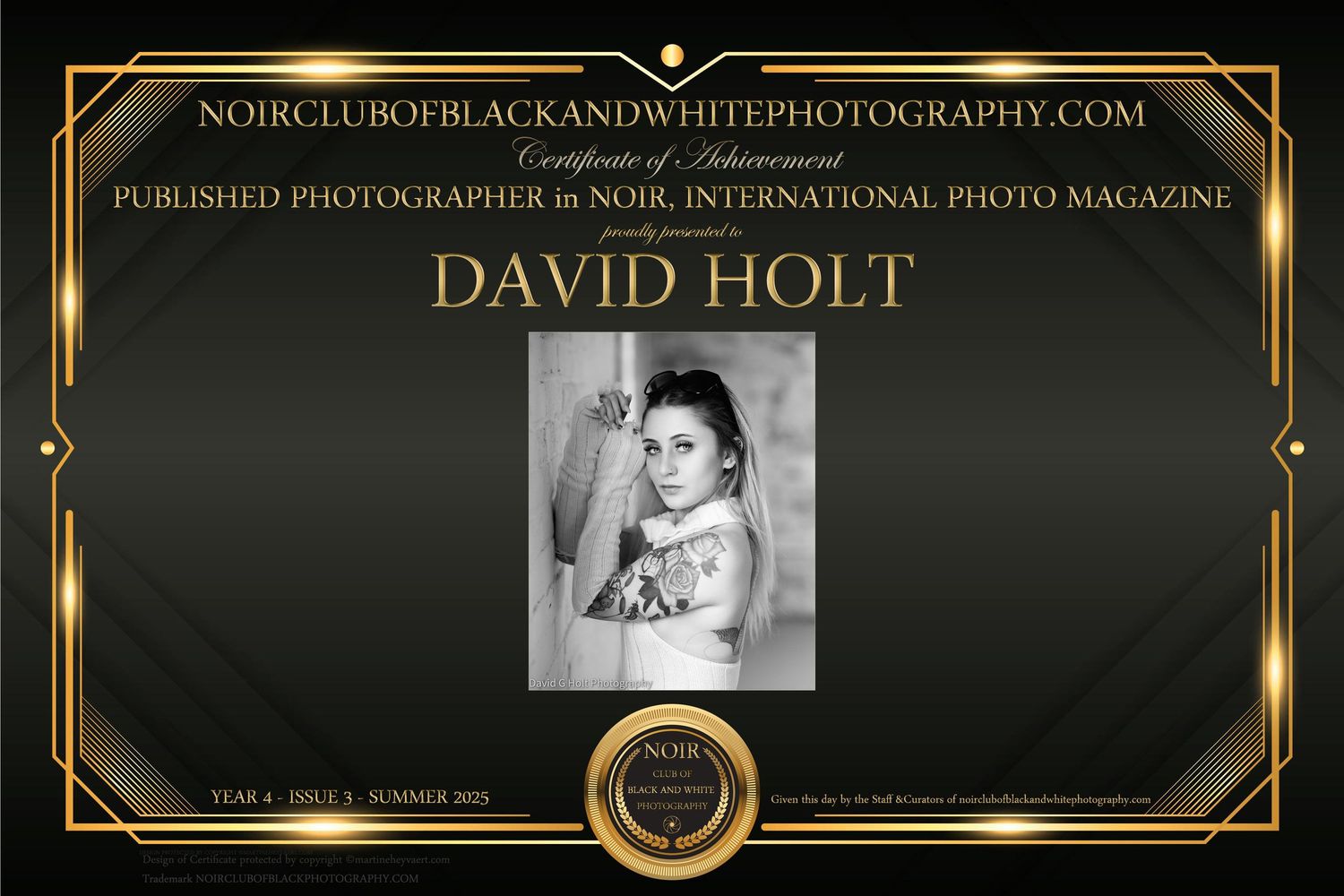 David G Holt Photography - Stylish photography website header with gold accents and portfolio showcase.