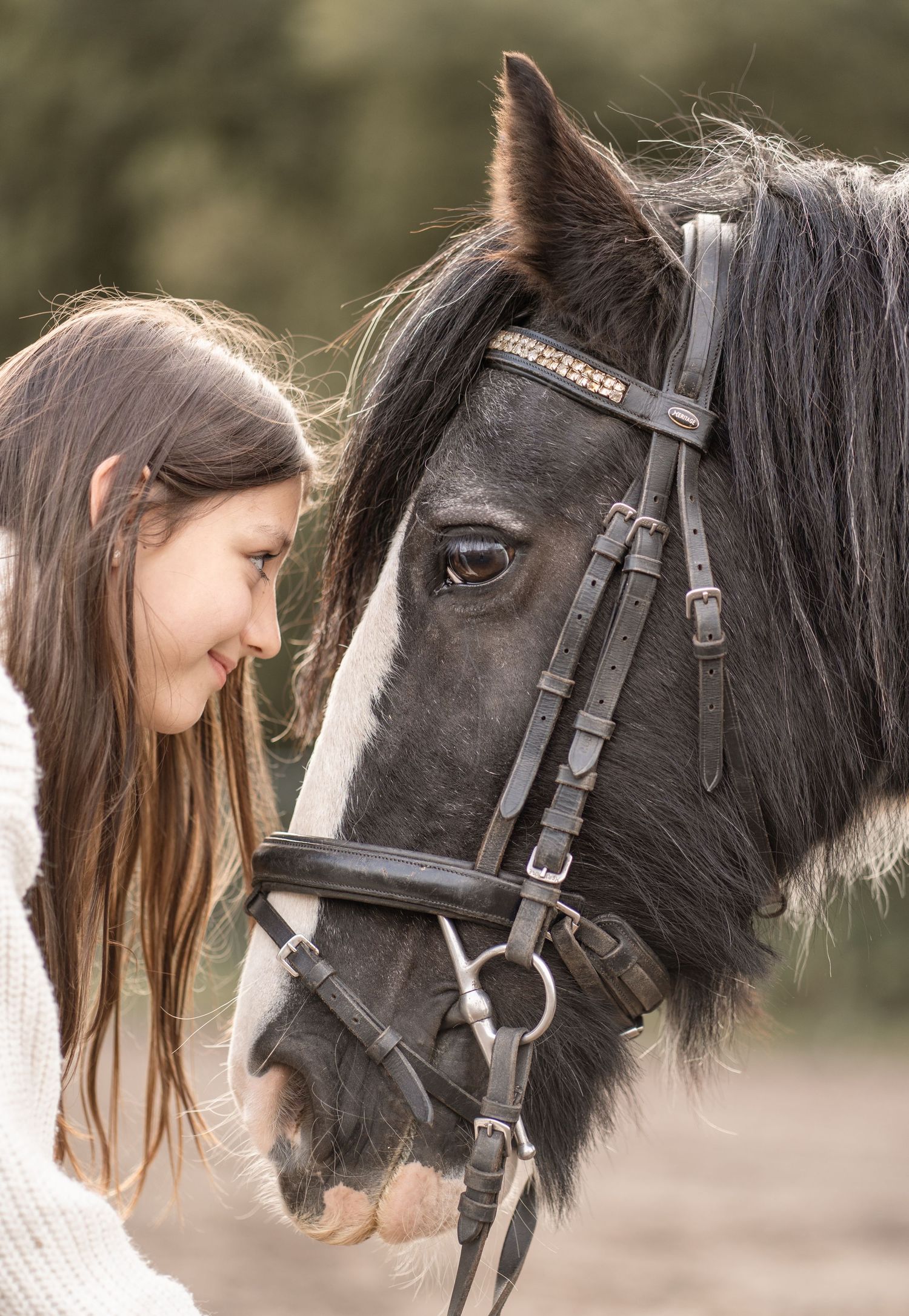 A close connection between a person and a black horse shown in a series of gentle nuzzling moments.