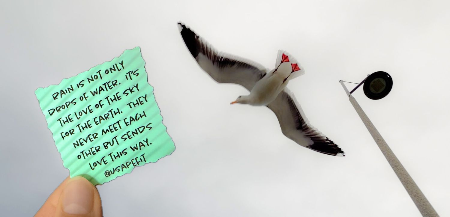 Small sticky notes with handwritten text arranged next to a white feather and pen on a light surface.
