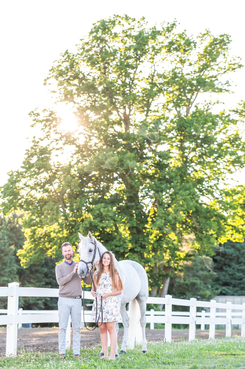A serene summer evening scene with a white horse by a wooden fence under a sunlit tree.