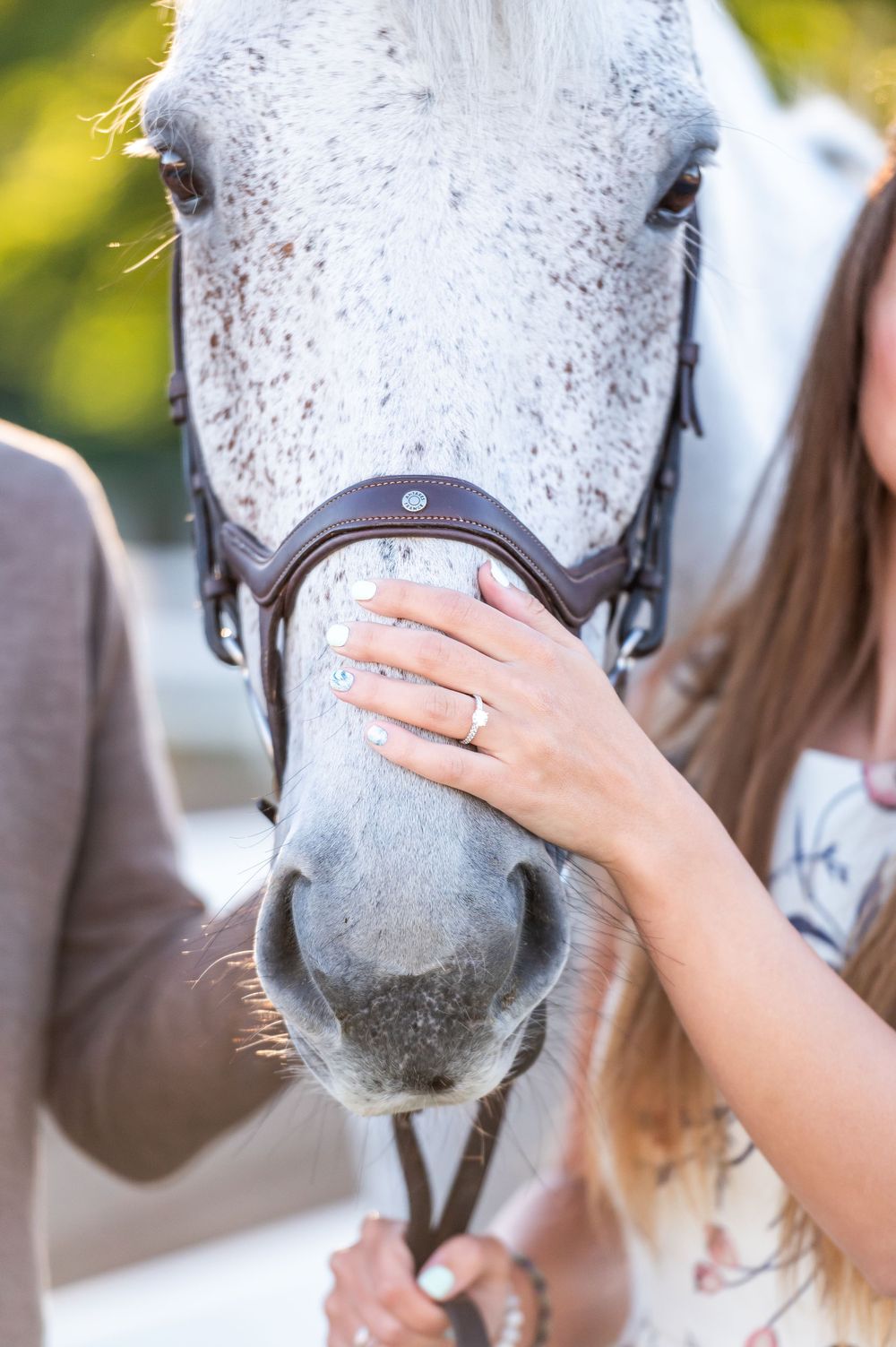 Close-up of a white horse's face with someone's hand displaying an engagement ring on its nose.