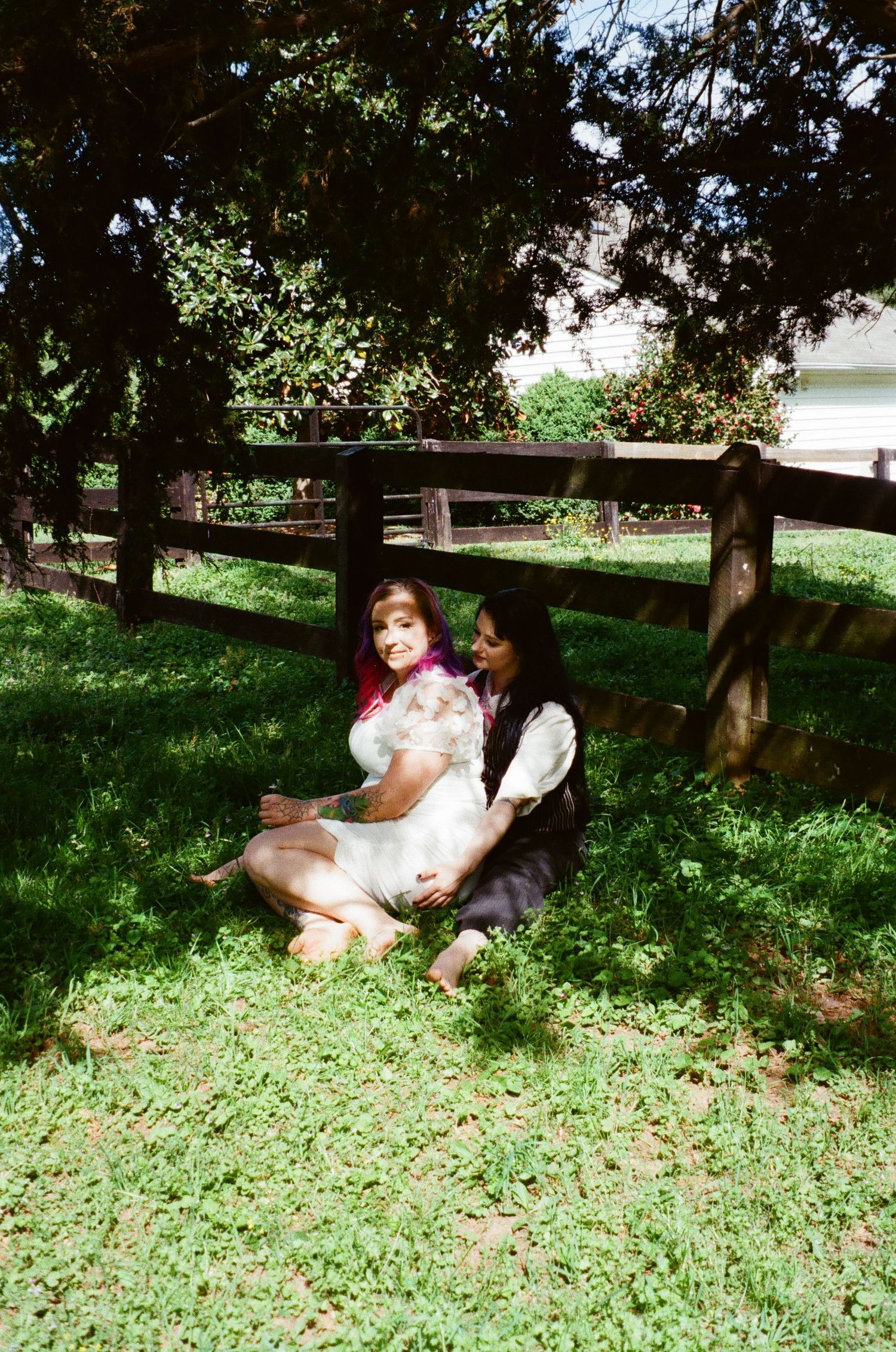 Two people sitting together on grass under trees next to a wooden fence on a sunny day.