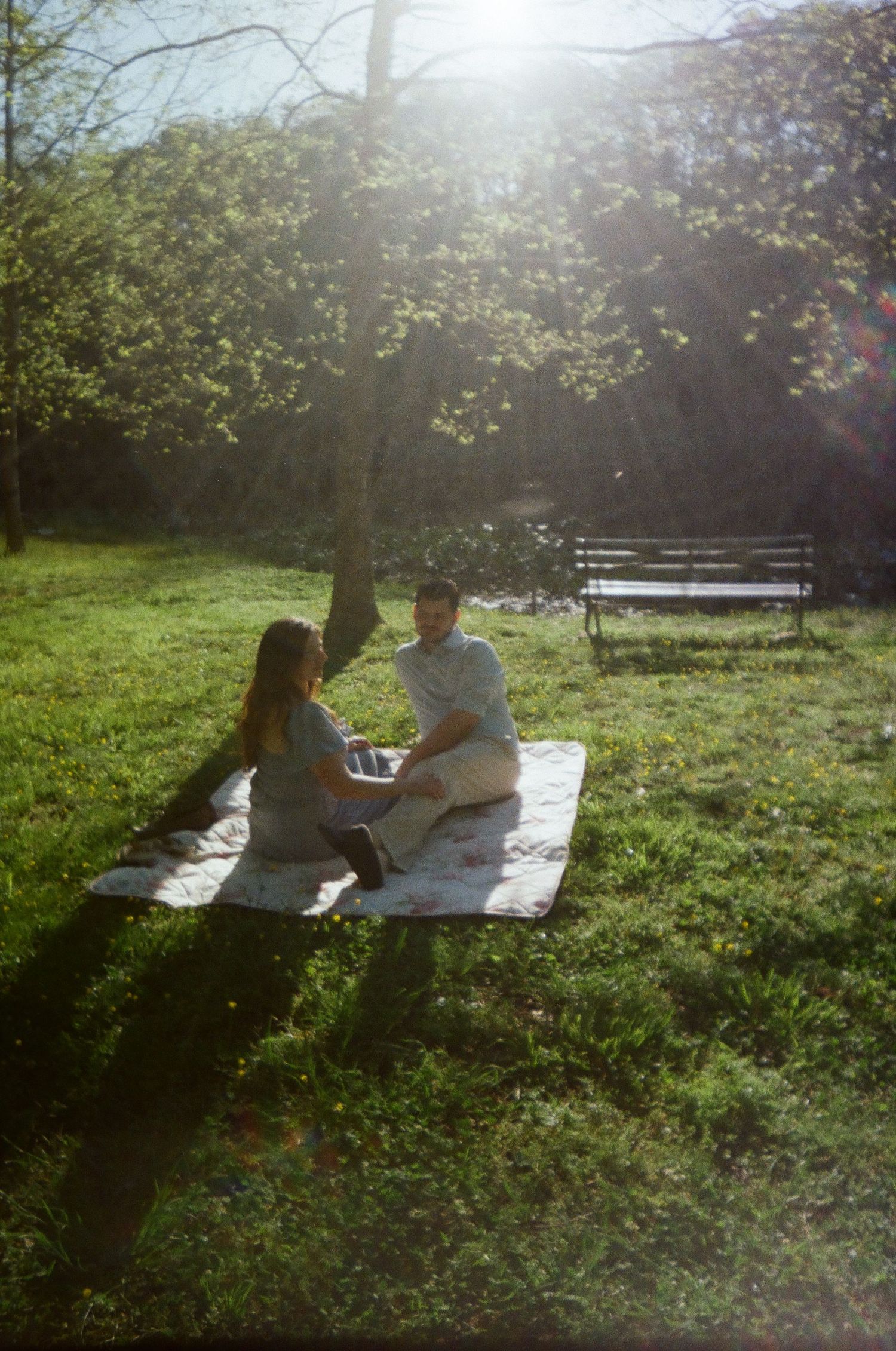 People relaxing on white blanket in sunny grass meadow with trees casting long shadows on summer day.