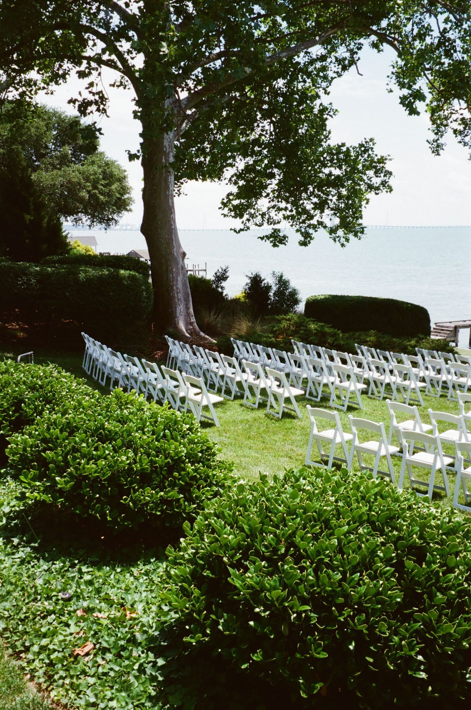 White chairs arranged in rows for an outdoor wedding ceremony under a large tree overlooking a scenic waterfront view.