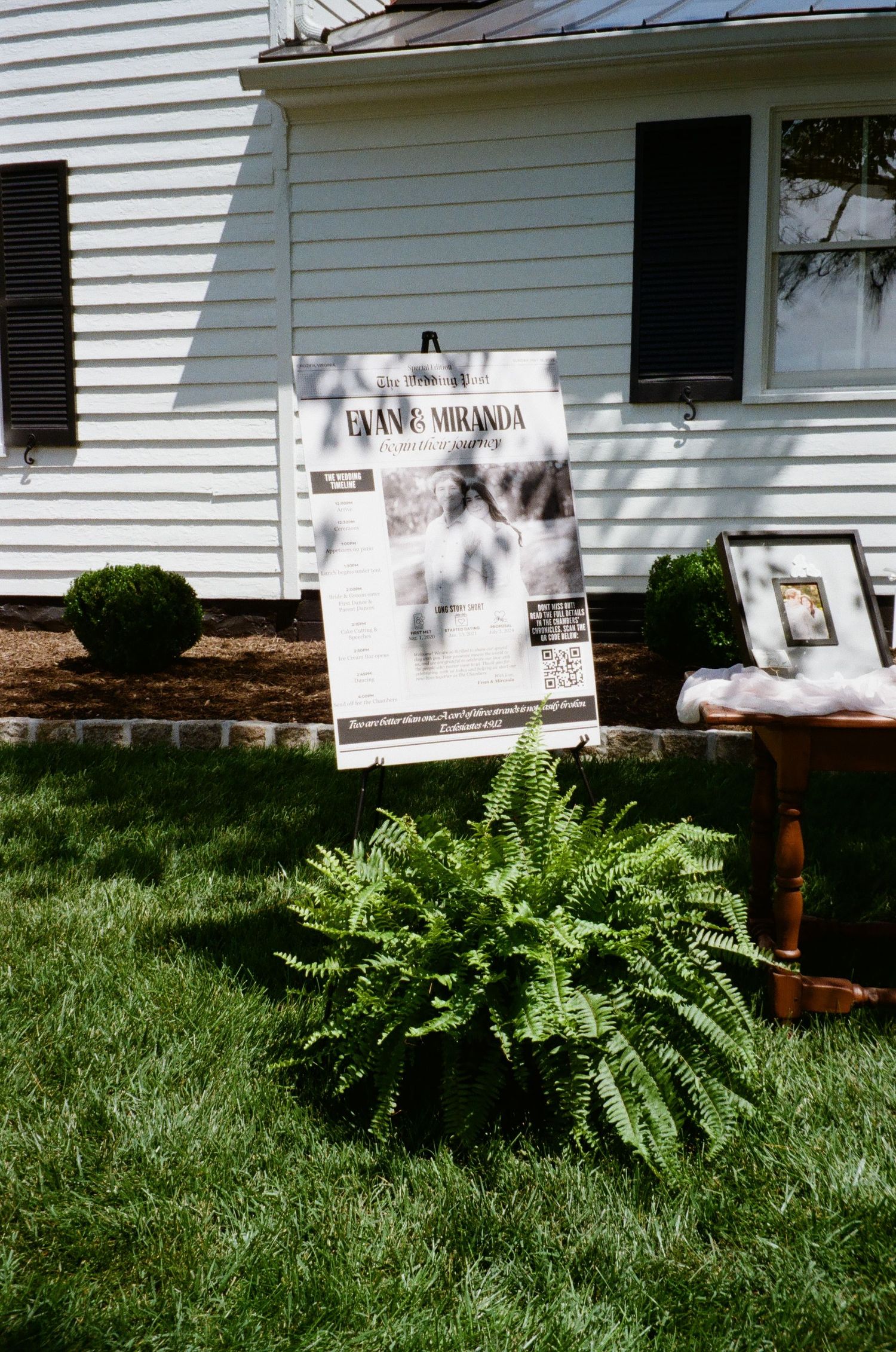 Three connected photos show a white house exterior with black shutters and lush ferns growing along the foundation.
