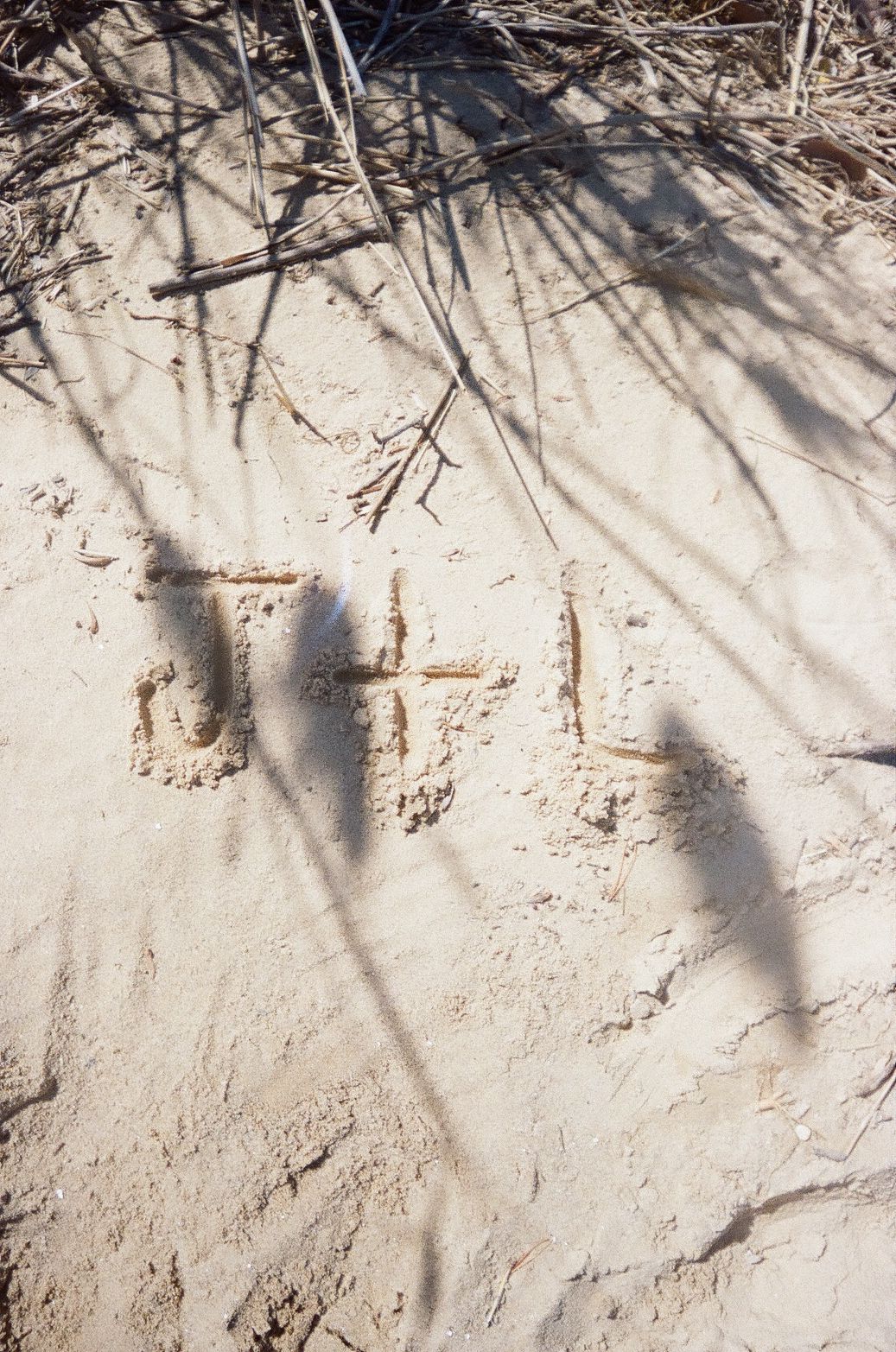 Shadows and plant stems cast intricate patterns on light sand with shallow indentations.