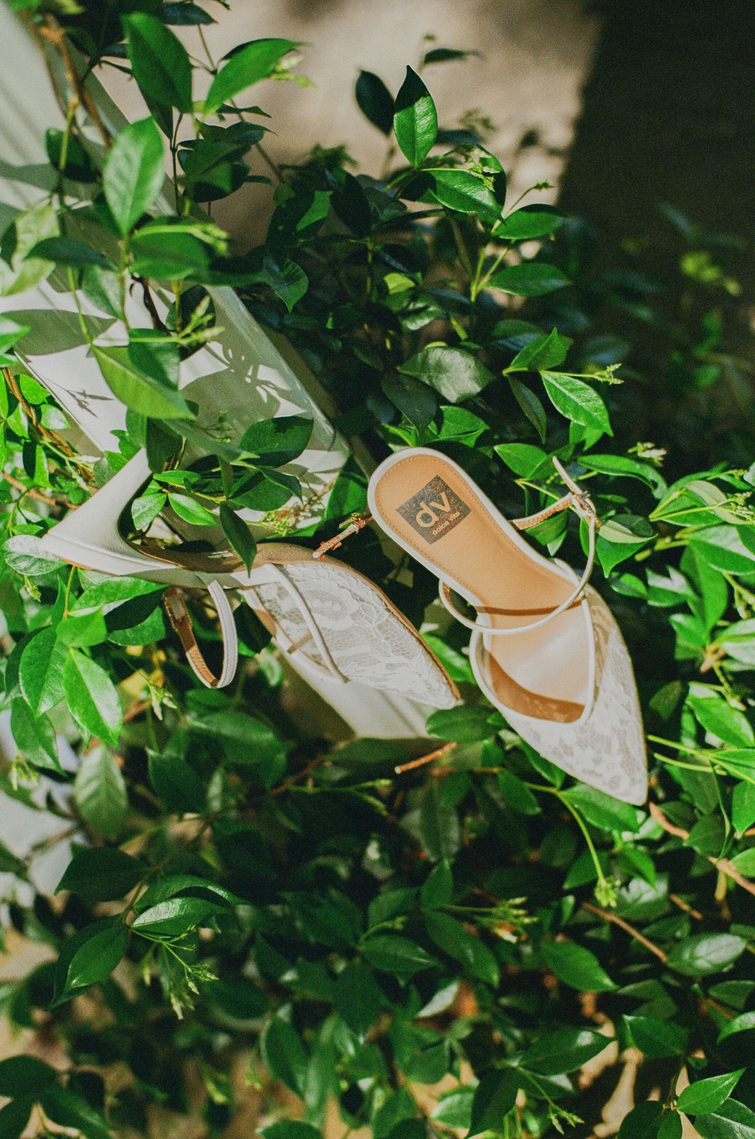 Elegant white lace bridal sandals with gold straps resting on lush green foliage for a wedding day detail shot.