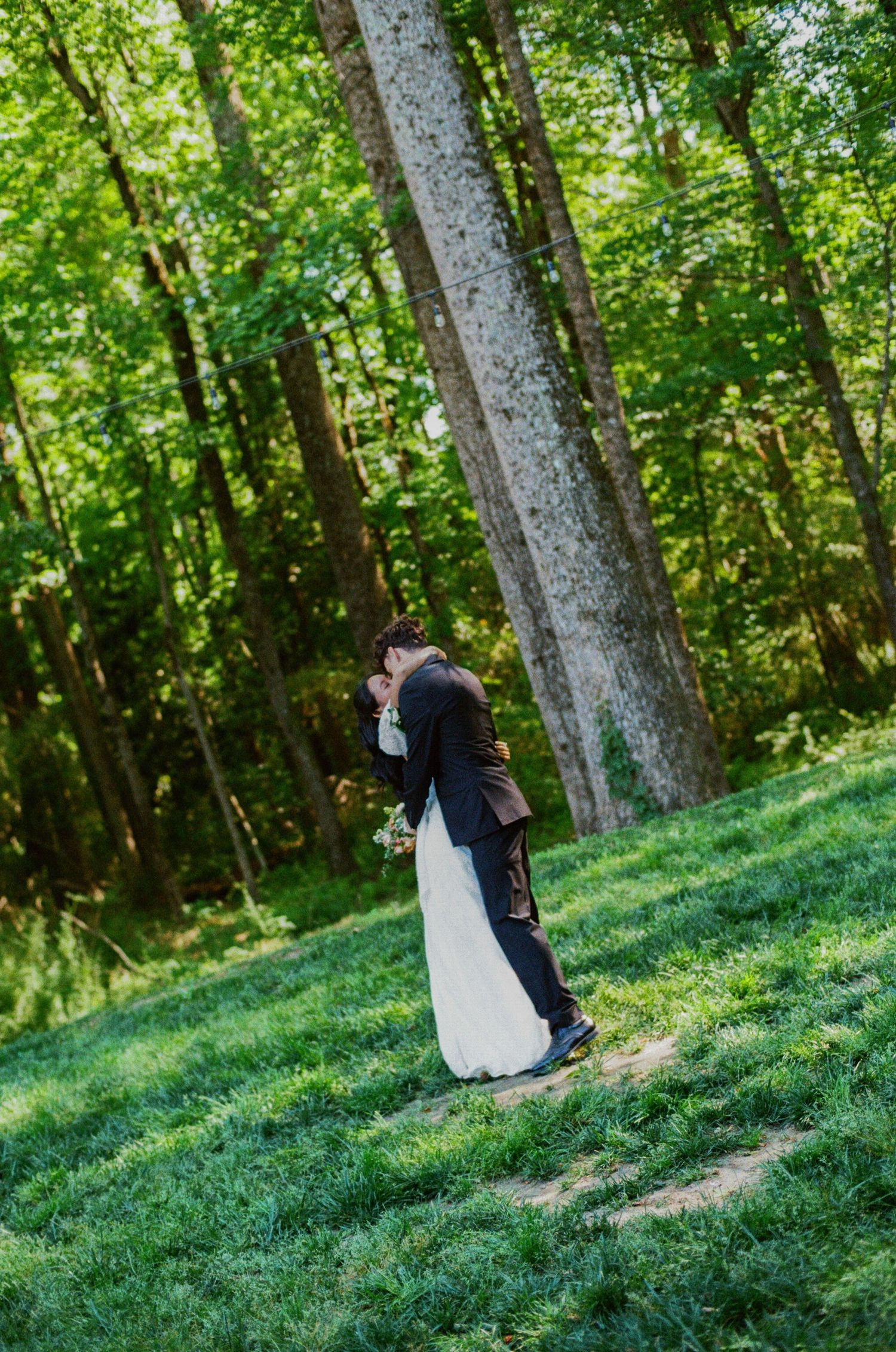 A bride and groom share a romantic kiss on a lush green hillside surrounded by tall trees in a forest setting.