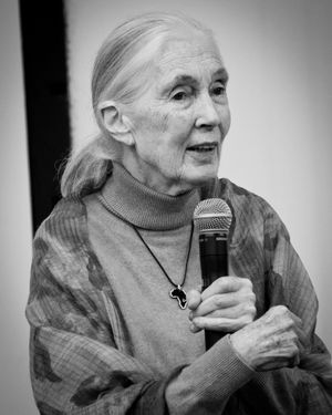 Jane Goodall English zoologist, primatologist and anthropologist at speaking engagement Jeffrey Tholl photography