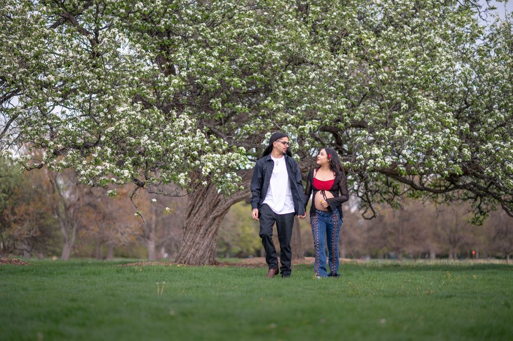 Couple walking on green grass under blooming spring tree during outdoor stroll in park.