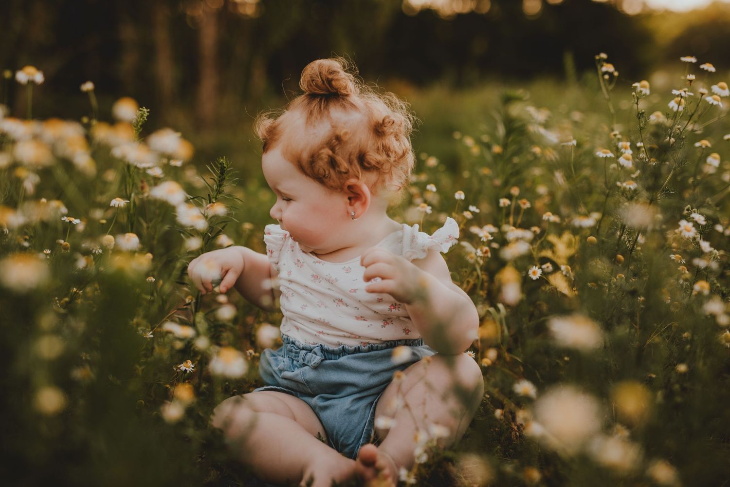 A small child sits among blooming white wildflowers during golden hour in a dreamy summer meadow.