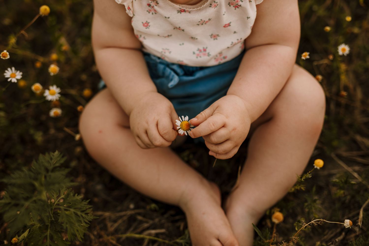 Small child sitting in grass holding a tiny yellow wildflower, wearing blue shorts and floral top.