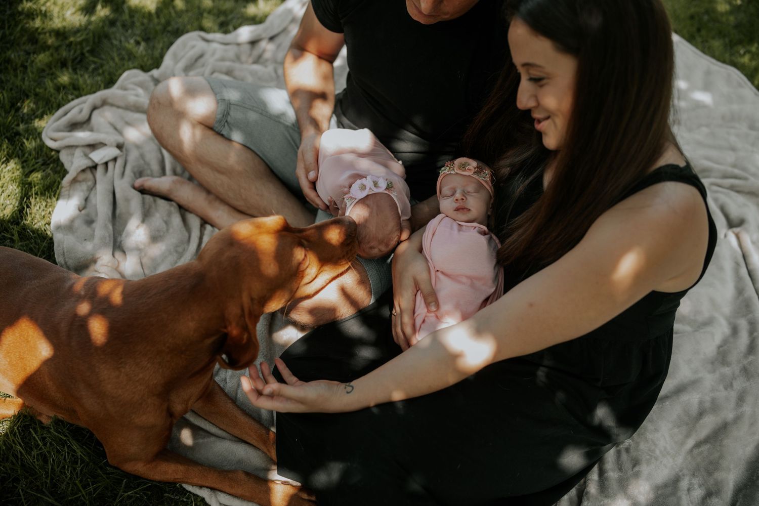 A couple sits on a blanket outdoors in dappled sunlight with their infant and brown dog.
