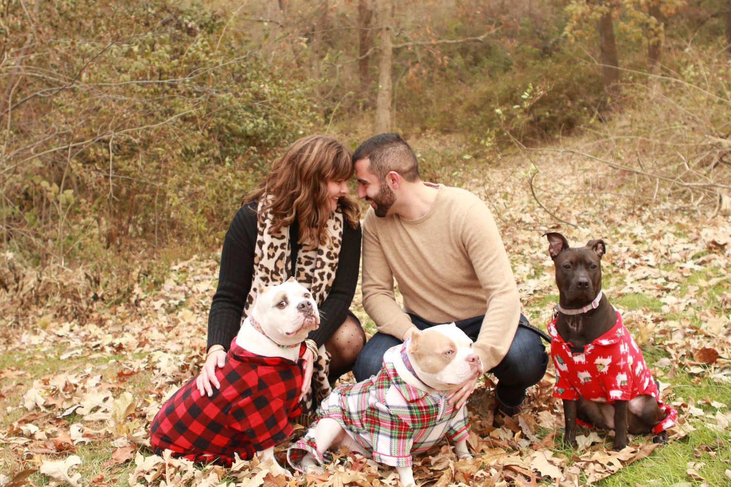Couple with 3 dogs