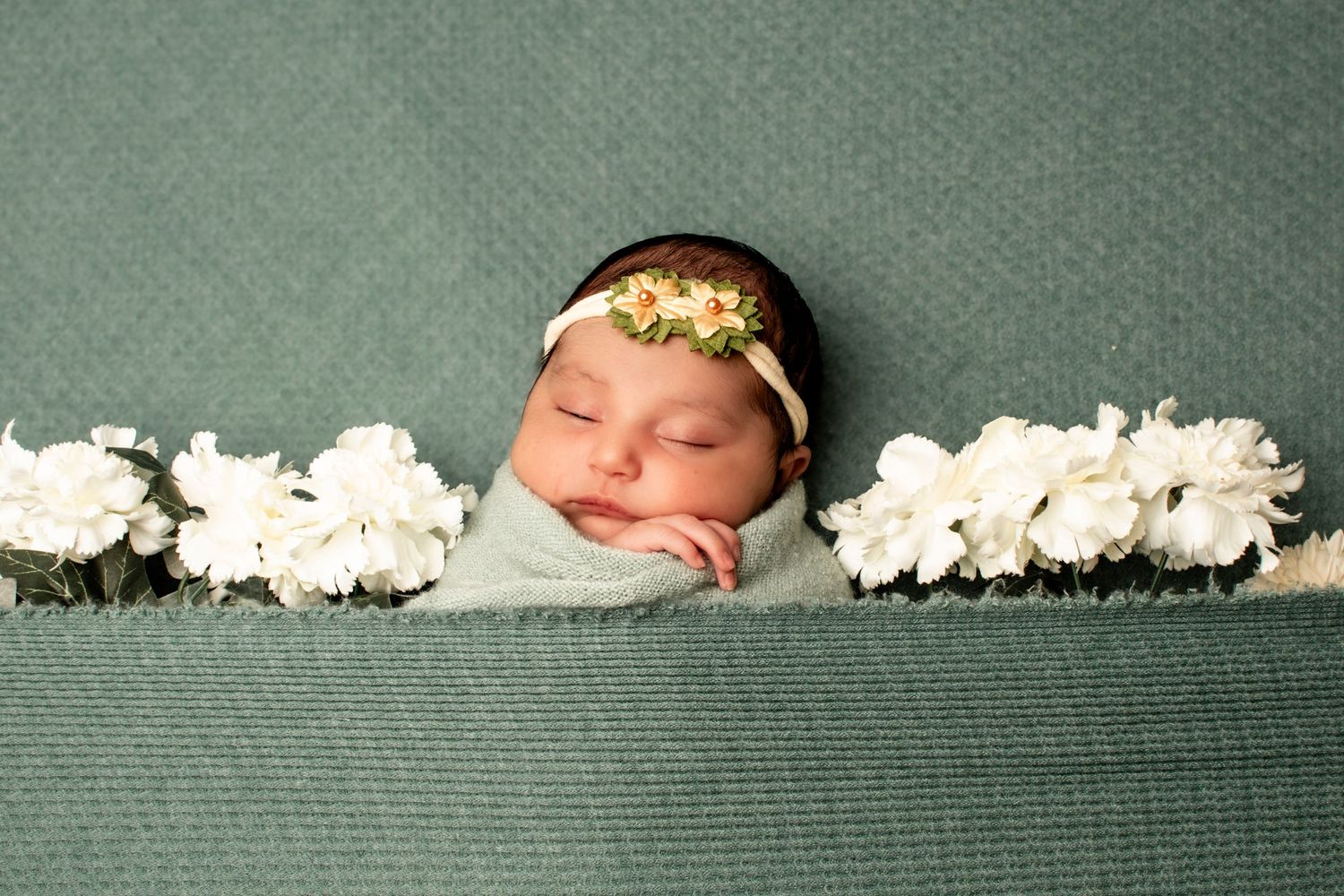 Newborn Portraits
