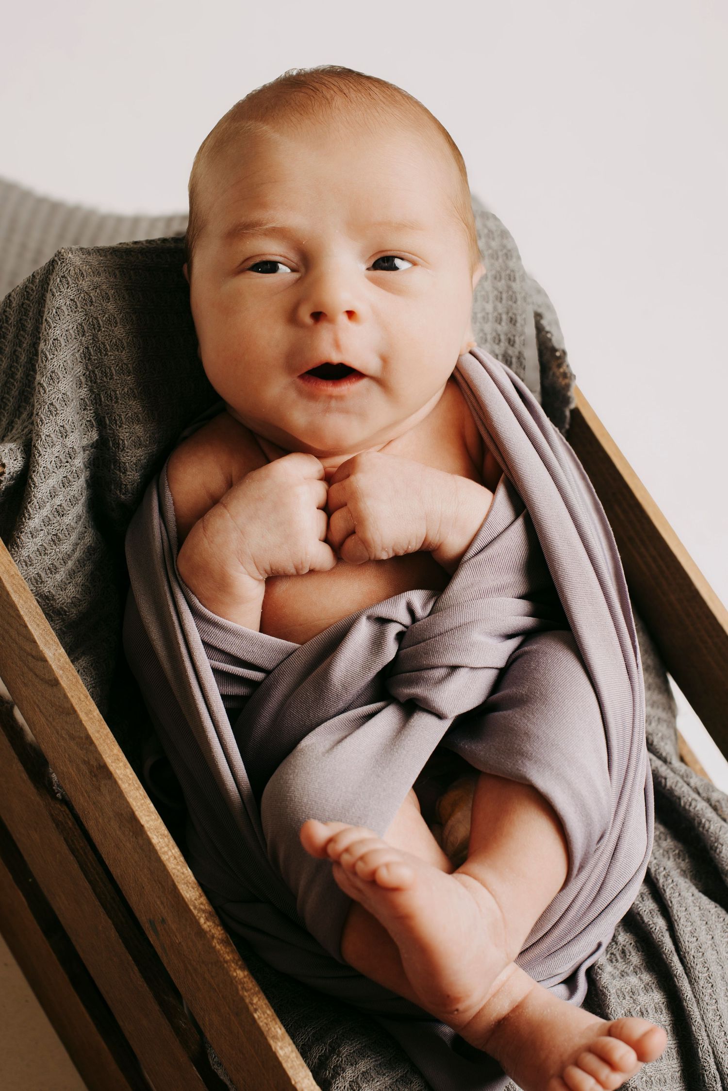 Newborn Portraits