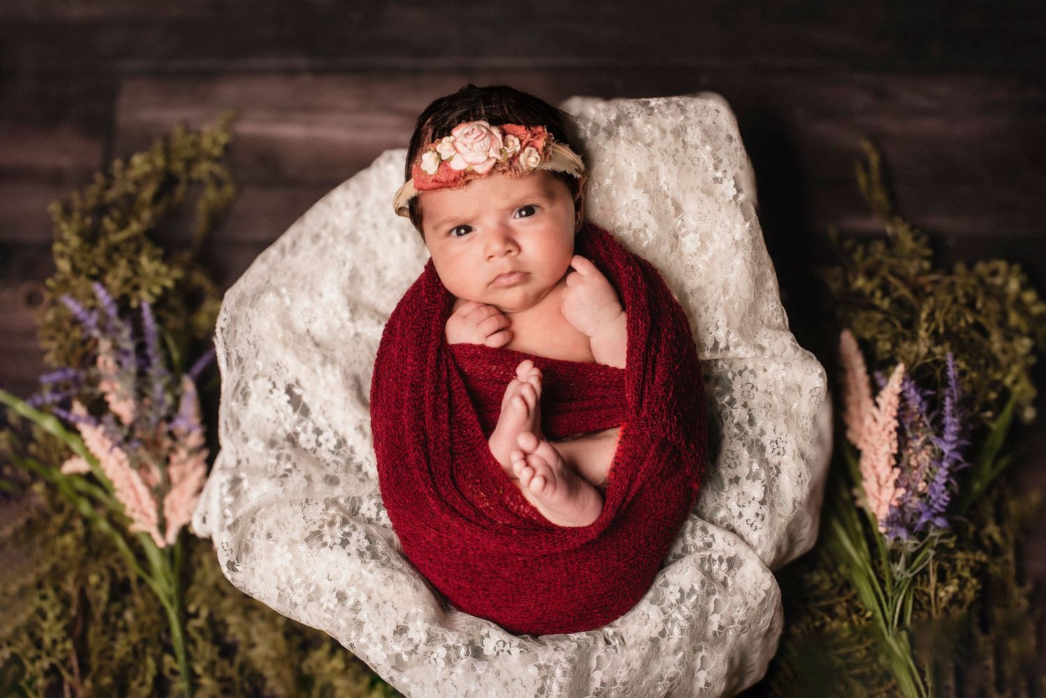 Newborn Portraits